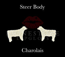 Steer Body - Charolais Earrings