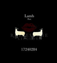 Lamb  Body