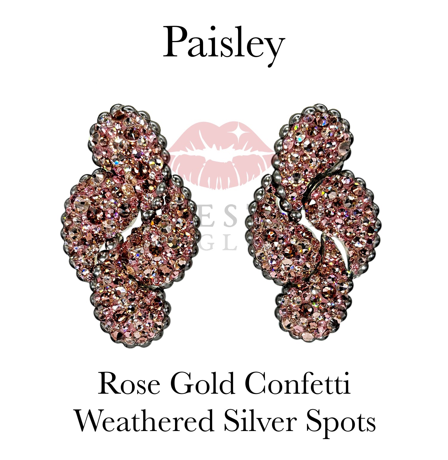 Paisley Exclusive - Weathered Silver Spots Outline, Rose Gold Confetti Fill Earrings